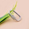 Gold Diamond Carabiner Lock