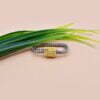 Gold Plated Screw Carabiner Lock