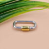 Silver Screw Carabiner Lock