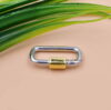 Silver Screw Carabiner Lock