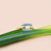 Gold Turquoise Link Ring
